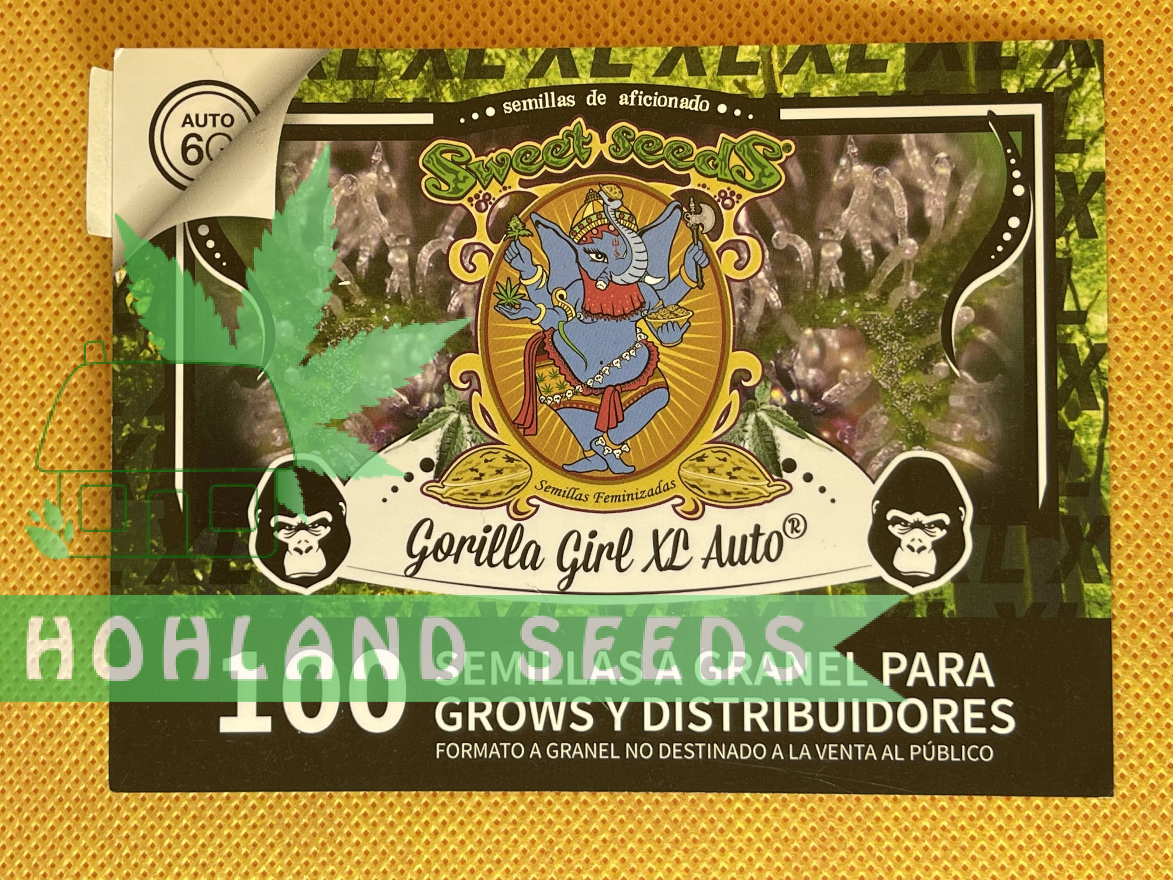 Gorilla Girl XL Auto Gorilla Girl XL Auto